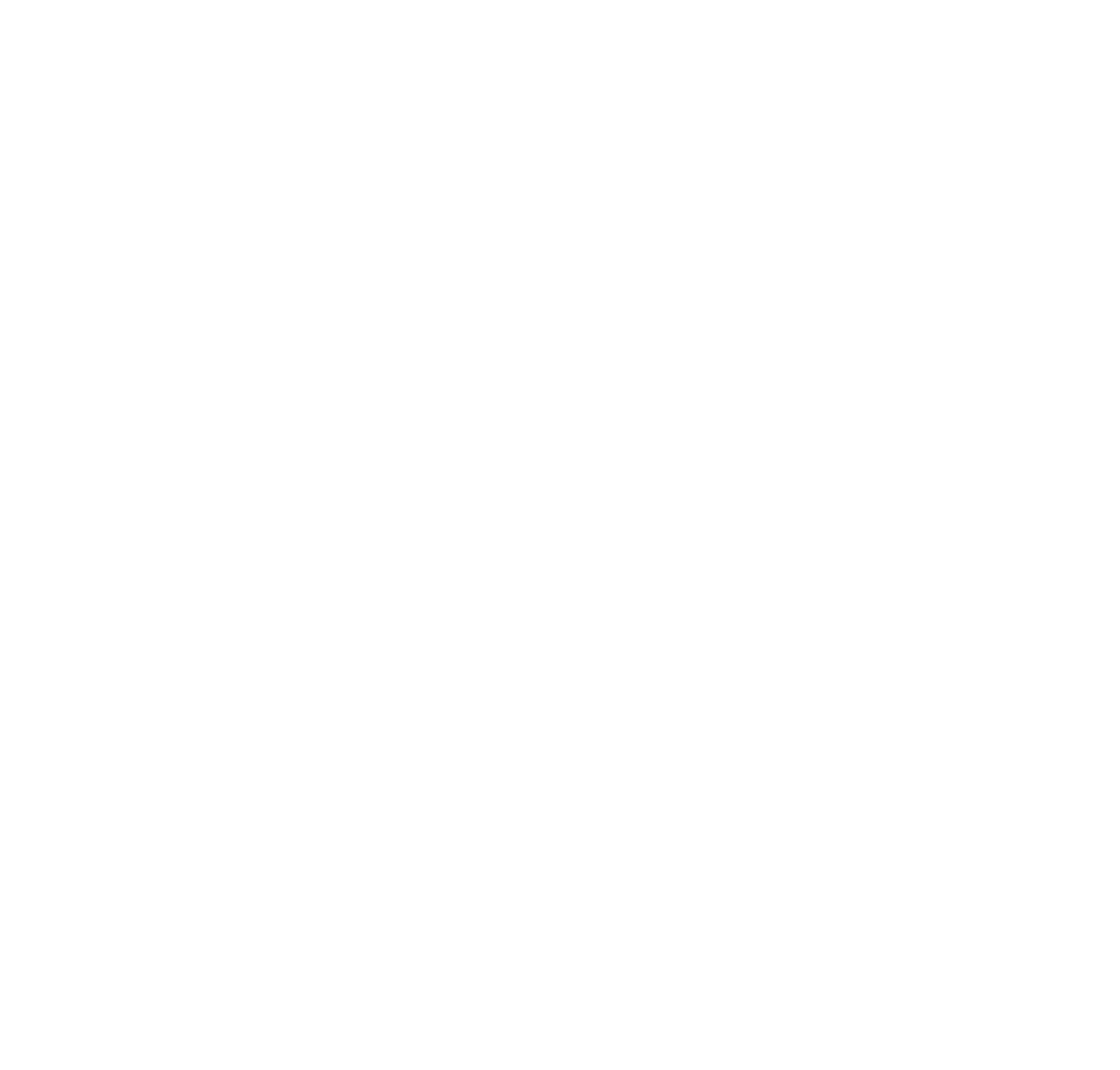 Logo blanc de l'entreprise Mentis Consult.